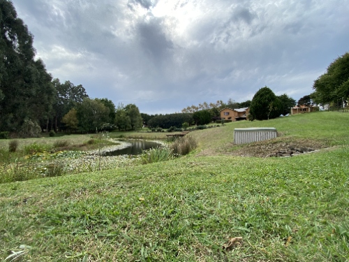 Darker original property landscape photo